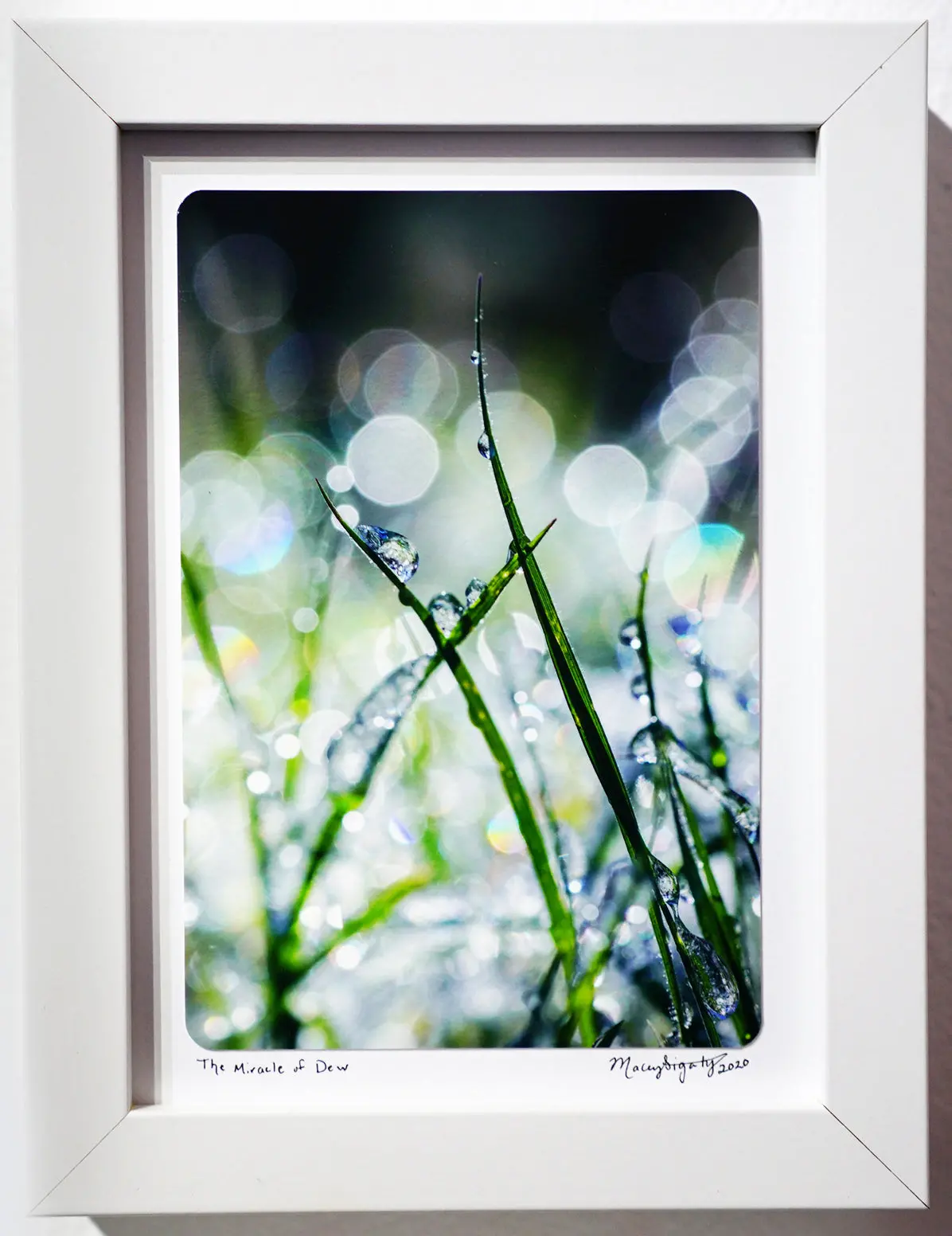 "The Miracle Of Dew" Framed Photo | By Macey "The Sigatree Photography" Sigaty 1