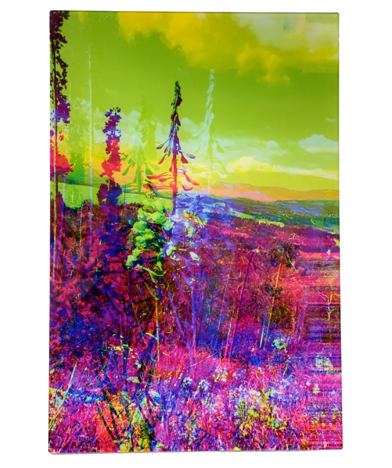 "Phoenix Rising" Acrylic Print | By Alex Clifford And Sadie Young 1