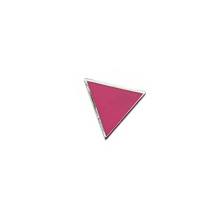 Pink Triangle Pin - Ali Forney Center 1