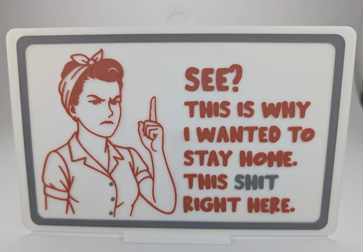 Funny Novelty Sign:   See? This Is Why I Wanted To Stay Home. This Sh*T Right Here.   (9 X 5.3-Inch) 1