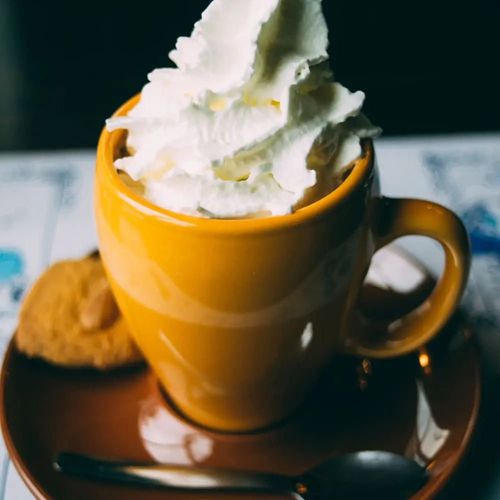 Vanilla Whipped Cream 1